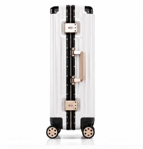 Check-In Suitcase — Anti-Theft